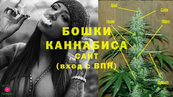 сатива Абдулино