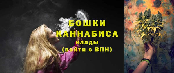 сатива Абдулино