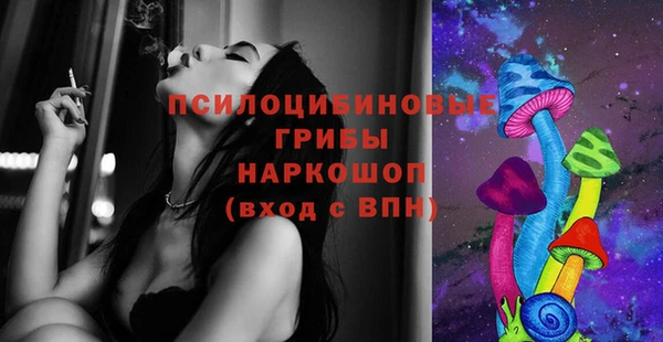 гашик Алзамай
