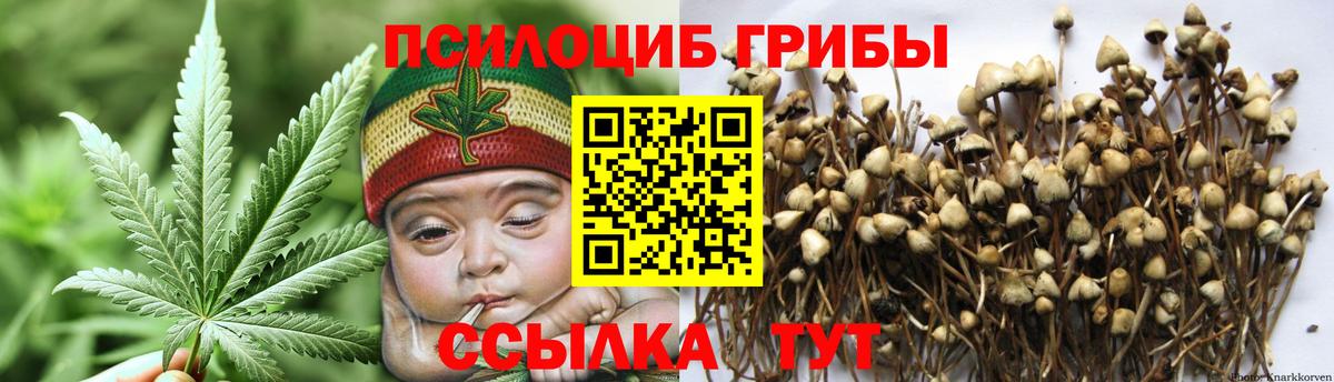 Галлюциногенные грибы Magic Shrooms  Вход с VPN  Иваново 